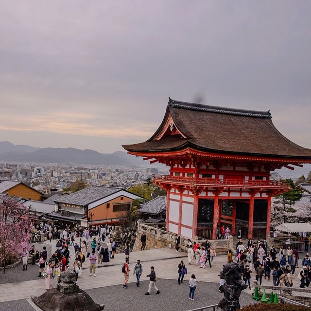 🇯🇵 Kiyomizu-dera temple | Breathtaking panoramic view from sacred temple 😍