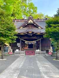 【玉敷神社/東京都】緑豊かな社叢に囲まれる