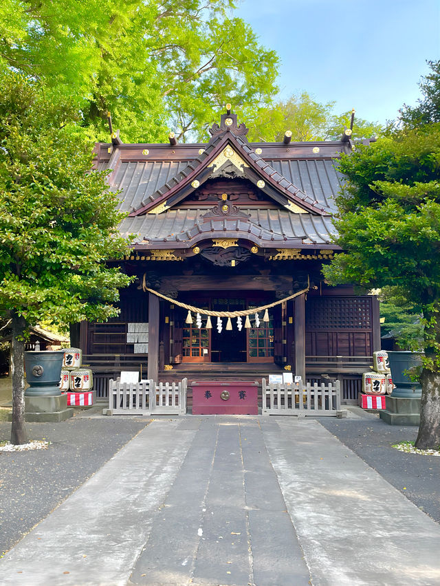 【玉敷神社/東京都】緑豊かな社叢に囲まれる