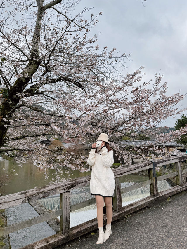  % Arabica Kyoto Arashiyama 🎋☕️🍵