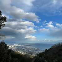 英彥山花園：山巒櫻景，山野莊園之旖旎風光