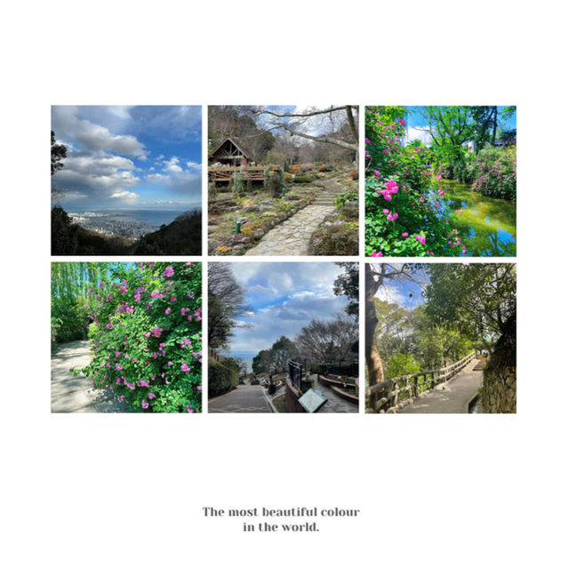 英彥山花園：山巒櫻景，山野莊園之旖旎風光