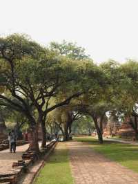 อุทยานประวัติศาสตร์พระนครศรีอยุธยา มรดกโลกที่มีเสน่