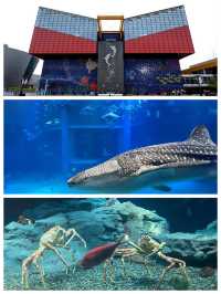【大阪景點】海遊館：獨特設計、豐富展覽
