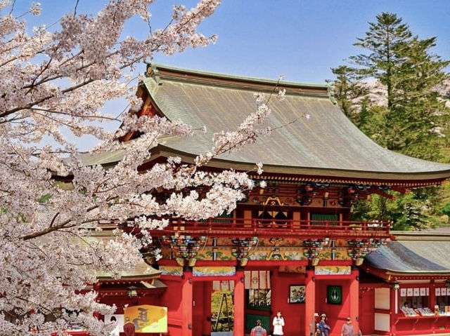 祐德稻荷神社櫻花