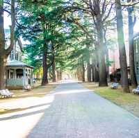 あがたの森公園