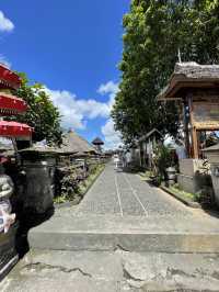 🇮🇩Penglipuran Village 