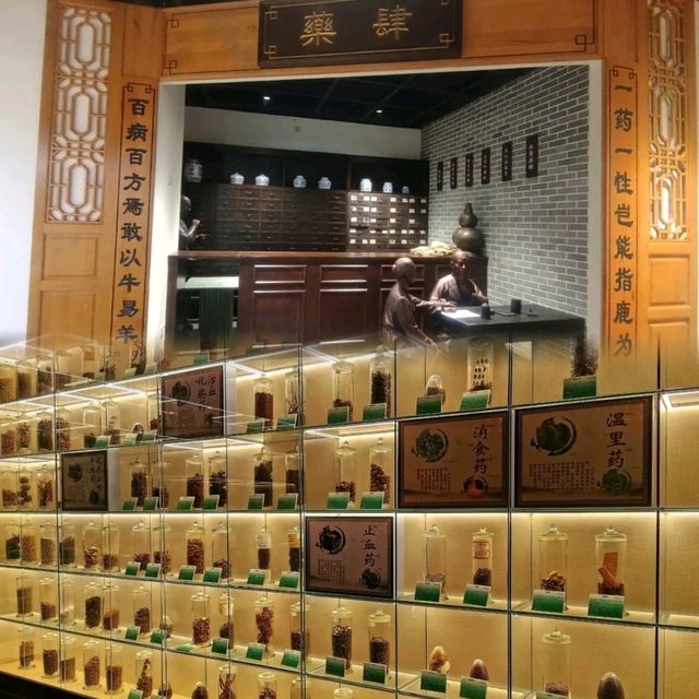 ✨廣州~廣東中醫藥博物館✨