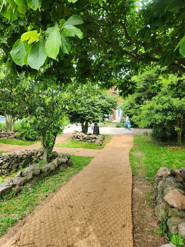 제주여행시 추천하고 싶은 아침미소목장