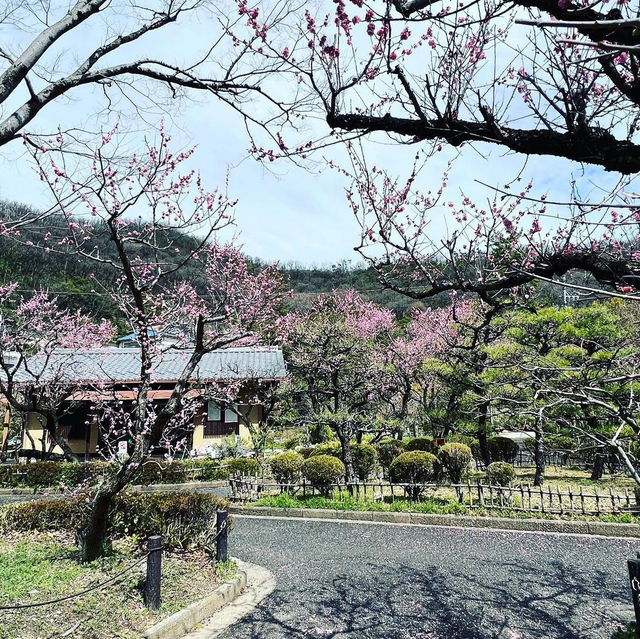 梅林公園
