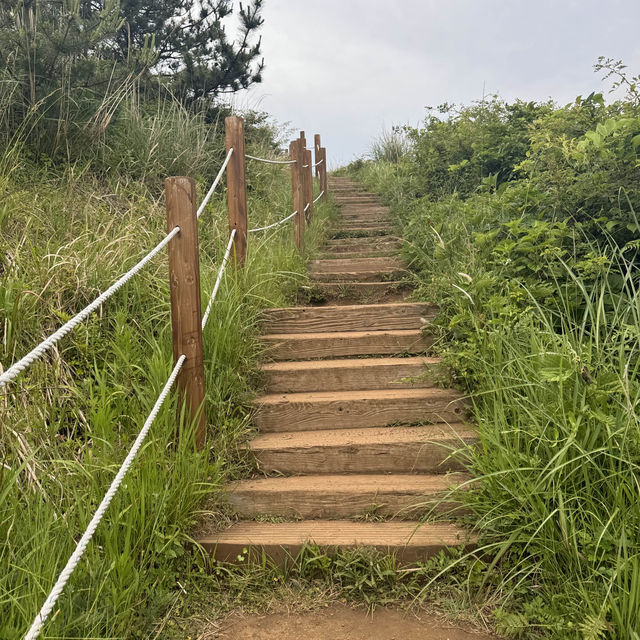 제주에서 가장 예쁜 오름은 여기 !! 🏔️