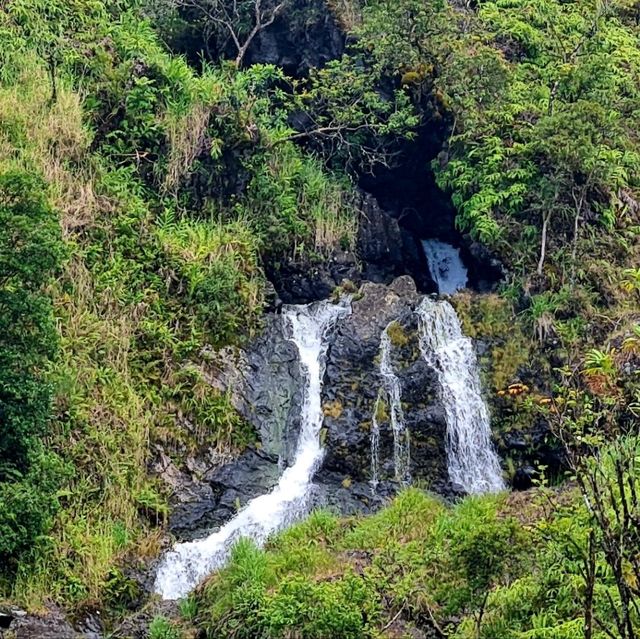 Lovely Maui !