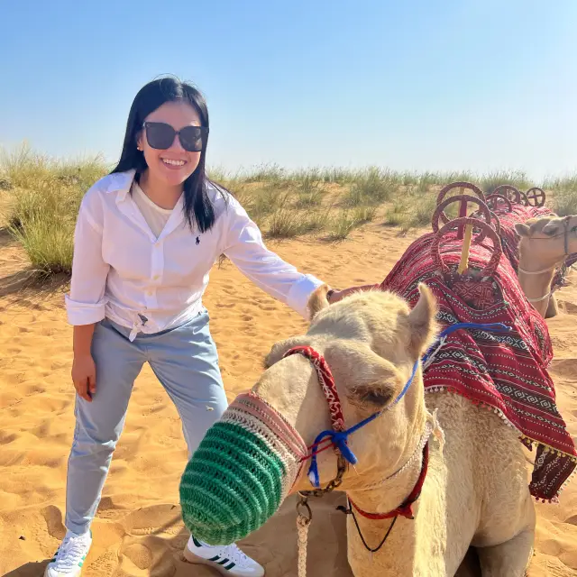 杜拜冒險超載！