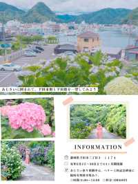 【静岡・伊豆】今が見頃❣️絶対外さない、あじさい旅