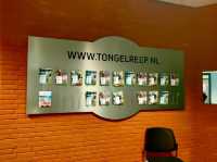 National Swimming Center the Tongelreep 
