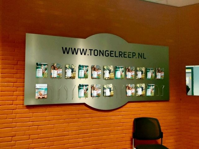 National Swimming Center the Tongelreep 