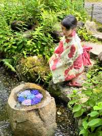 〜神奈川県〜鎌倉で混まない！穴場あじさいスポット！