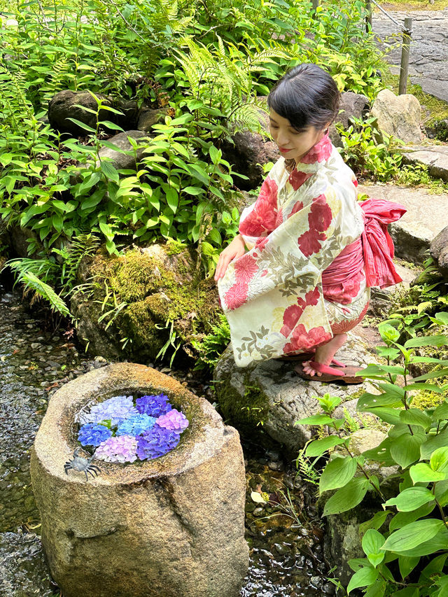 〜神奈川県〜鎌倉で混まない！穴場あじさいスポット！