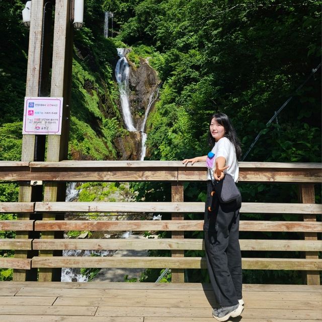 신비의 섬, 울릉도🏝 가는법