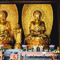 Tsz Shan Monastery