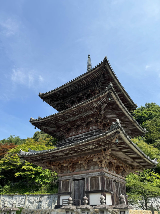 【奈良】桜の名所は新緑も美しい
