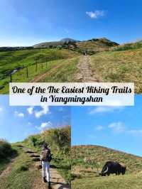 One of the The Easiest Hiking Trails in Yangmingshan