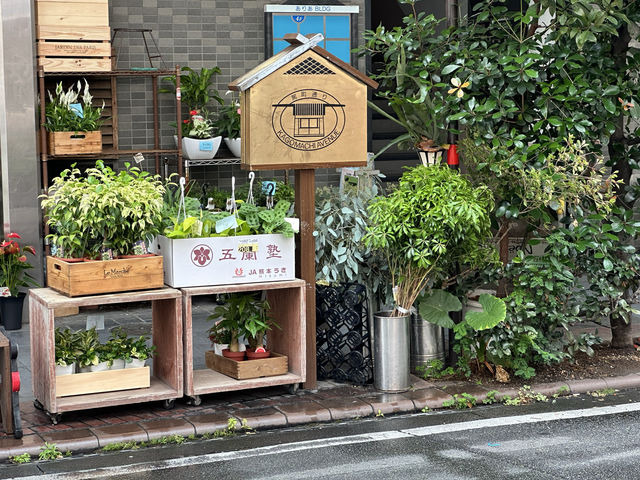 熊本市中央区。『駕町通り』