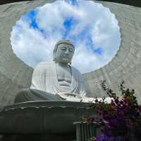 Serenity Amidst Architectural Splendor