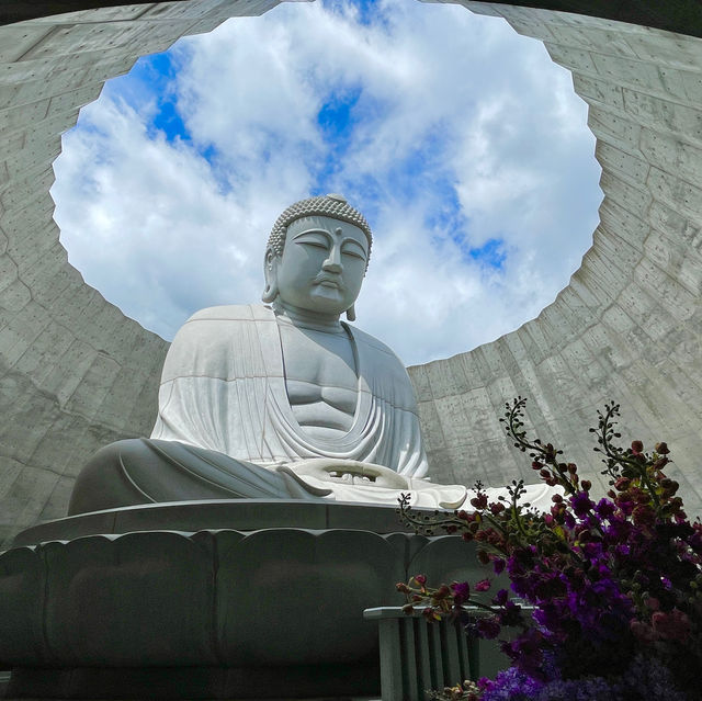 Serenity Amidst Architectural Splendor
