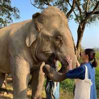 รีวิวโรงแรมที่หรูที่สุดในเชียงราย Anantara Golde