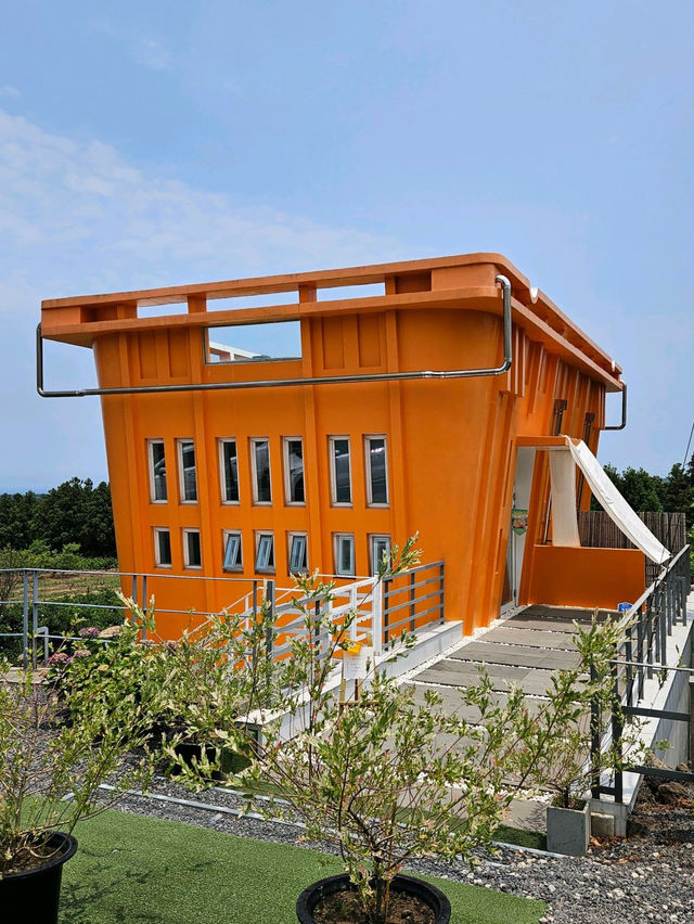 🍊제주에서 핫한 조천읍 카페 더 콘테나