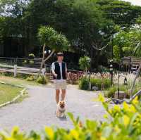 Green Season พานอนเต็นท์โดม