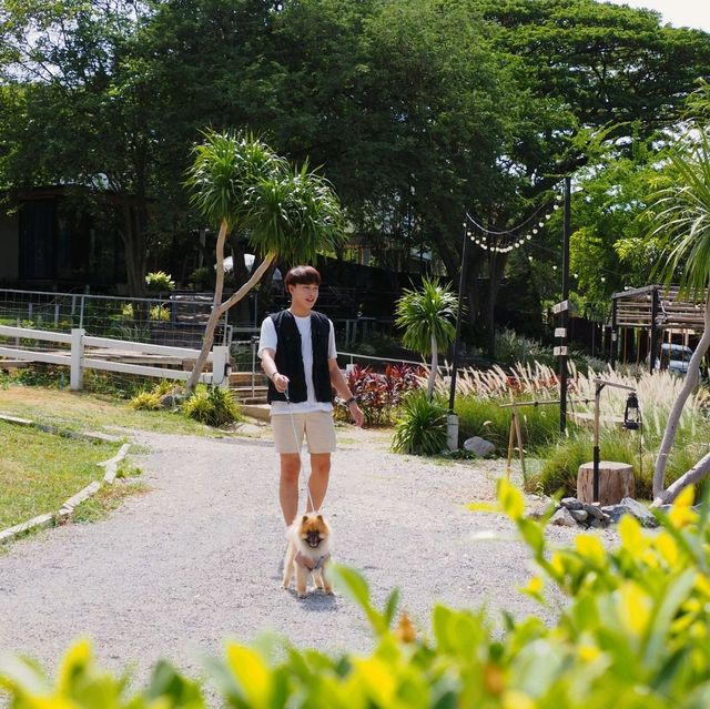 Green Season พานอนเต็นท์โดม