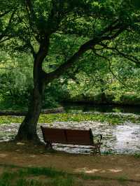 경남 사진찍기 좋은 여행지, 고성 장산숲🌳