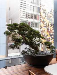 【東京都/銀座】銀座で愉しむ建築の素敵な和菓子店