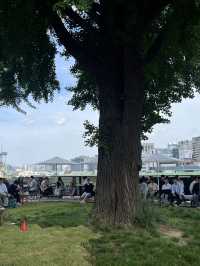 서울 서촌 야외 자리가 멋진 카페, 스태픽스