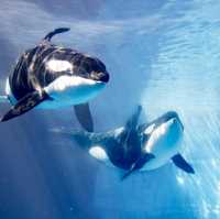 名古屋港水族館