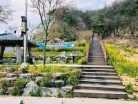 Okjeongho Lake 옥정호