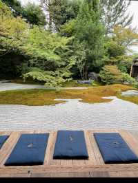 超貴重な特別拝観☺️建仁寺塔頭のお寺・西来院💙☕️期間限定のブルーボトルコーヒーとのコラボも☕️💙