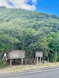 奄美大島　奄美の自然を感じる公園🌺