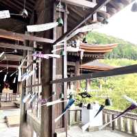 【京都】毎年夏に訪れるありがたい一日