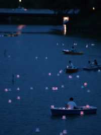 2日限定‼️観覧無料‼️千鳥ヶ淵で見る幻想的な夏の光景✨