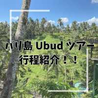 【バリ島】Ubudでの1日を紹介🌳🐒