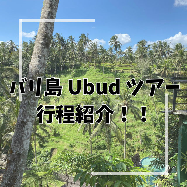 【バリ島】Ubudでの1日を紹介🌳🐒