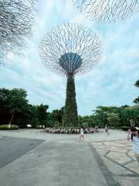 Gardens by the Bay: A Vertical Garden Wonderland