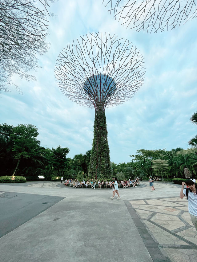 Gardens by the Bay: A Vertical Garden Wonderland