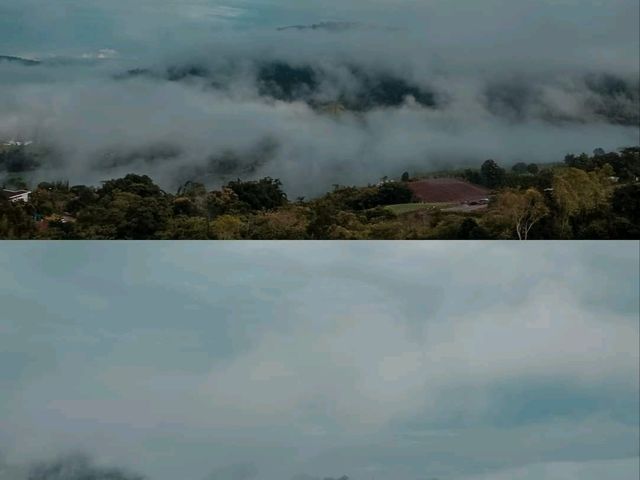 ที่พักเขาค้อ ทะเลหมอกสุดปัง⛅️