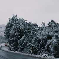 GO SKIING IN NEW ZEALAND CORONET PEAK