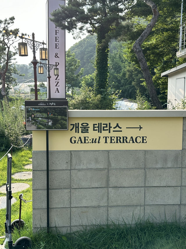 남한산성의 자연을 바라보며 🌳여유롭고 느긋한 시간을 보낼 수 있는 감성카페추천 💚