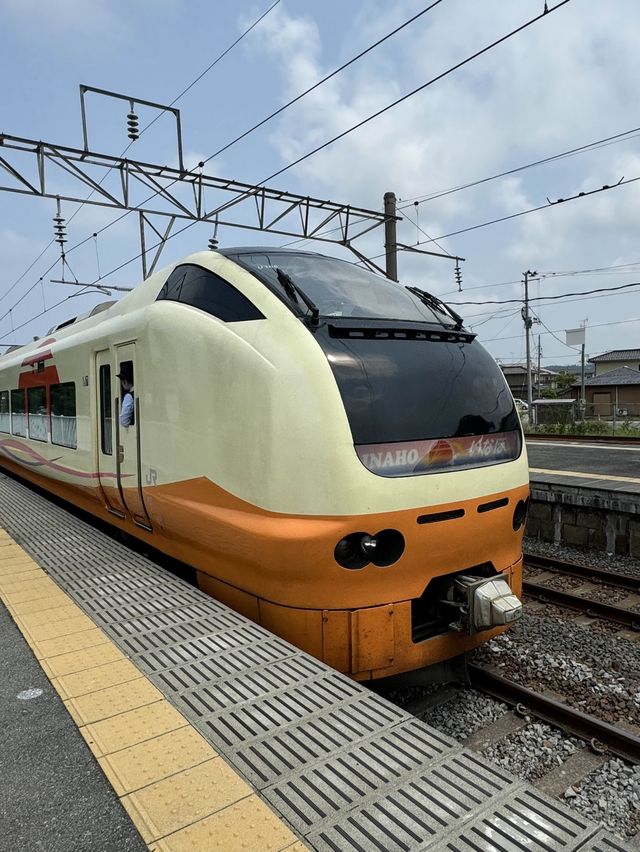 【特急いなほ】快適すぎると噂の新潟-秋田間を走る特急いなほ　グリーン車